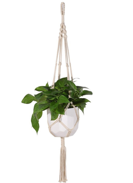 Macrame Plant Hanger