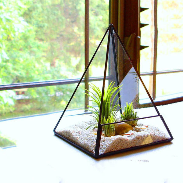 Pyramid Glass Terrarium